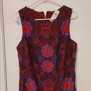 anthropology dress NWT